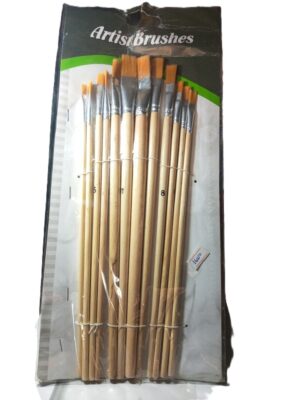 Artist Brushes ( New)