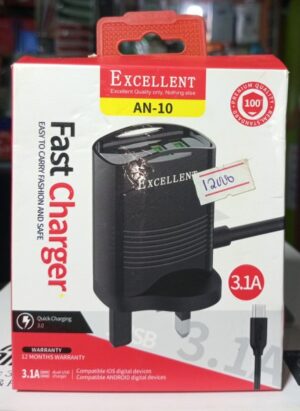 Excellent Micro ( Smart) Charger ( new)