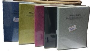 Mood , moody Diary Pocket size Notebooks imported ( new)