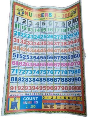 Number Chart 1-100 (New)