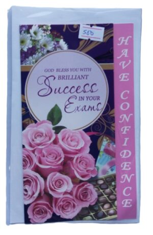 Have Confidence Success Cards ( new)