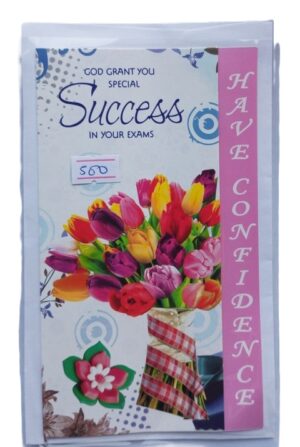 Have Confidence Success Cards ( new)