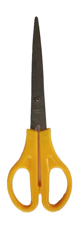 Small Sized Scissors ( New)