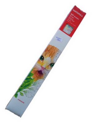 Nataraj Transparent  Ruler 30cm Box (10pcs) ( new)