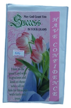 Have Confidence Success Cards ( new)