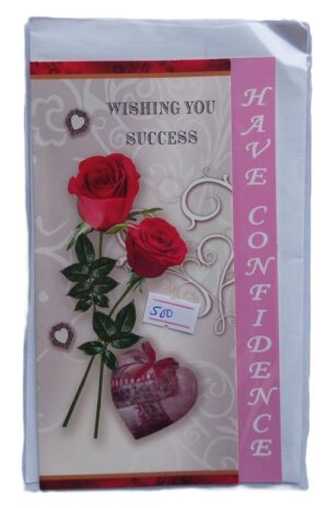 Have Confidence Success Cards ( new)
