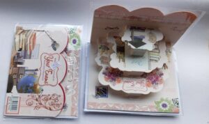 A5 Ladder Success Cards ( new)