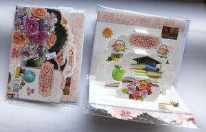 A5 Ladder Success Cards ( new)