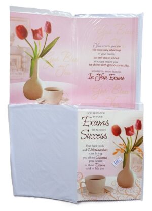 A5 Success Cards ( new)